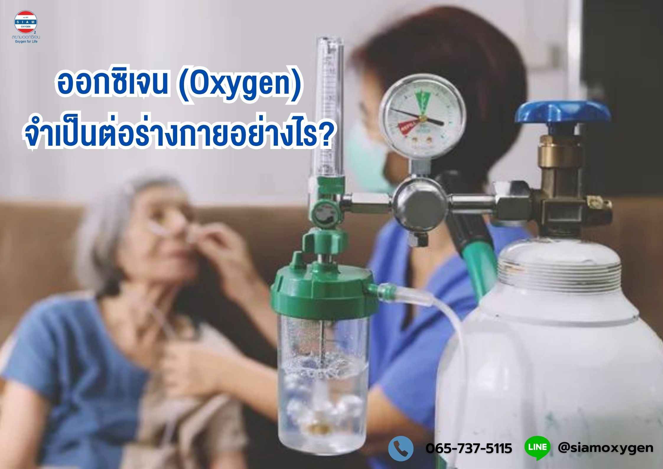 ออกซิเจน (Oxygen) จำเป็นต่อร่างกายอย่างไร?